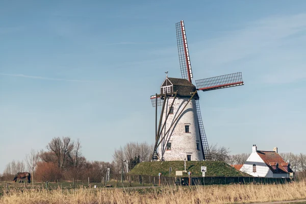 Tall windmill raised — Stock Photo, Image