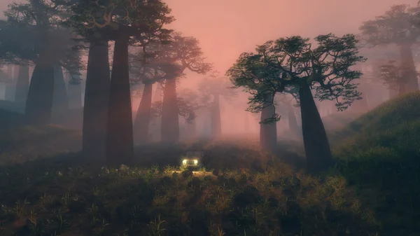 Headlights of a jeep in a misty valley at sunrise — Stock Photo, Image