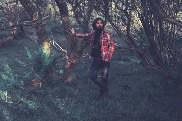 Homem em Inclinação contra Árvore na Floresta — Fotografia de Stock