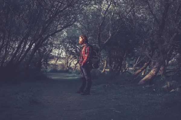 Hiker standing in the shade of trees — 图库照片