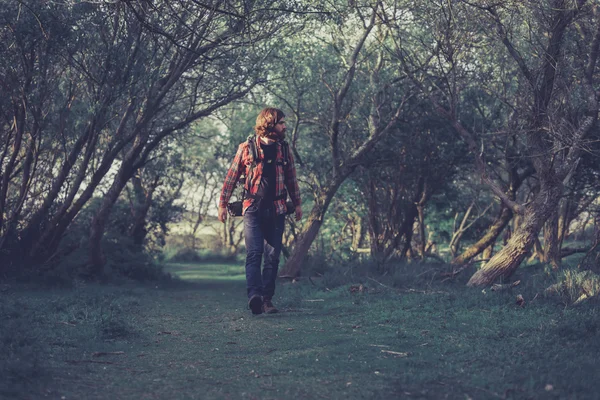 Backpacker walking through trees — Stockfoto