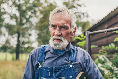 Serious grey haired senior farmer