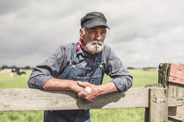 Old grizzled farmer standing and smoking — Stock Photo, Image