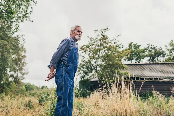 Agricoltore anziano che guarda alla distanza — Foto Stock