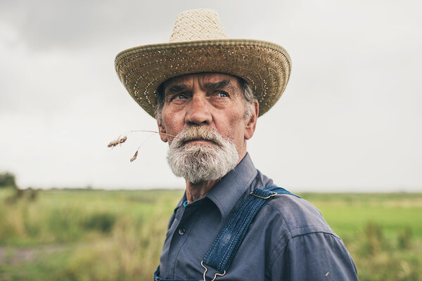 Thoughtful senior farmer chewing grass