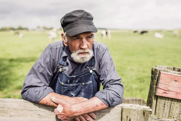 Elderly farmer surveying his farmland — Φωτογραφία Αρχείου