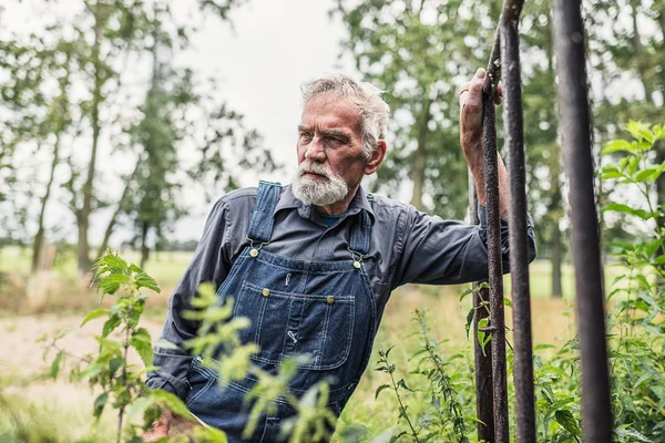 Senior Farmer Leaning Against Rail — стокове фото