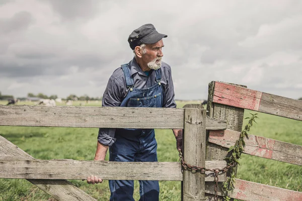 Пожилой фермер осматривает свою ферму — стоковое фото