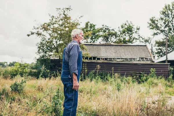 Agricultor sênior olhando para a distância — Fotografia de Stock