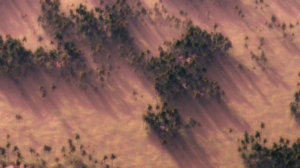 Вид с воздуха на лесной ландшафт — стоковое фото