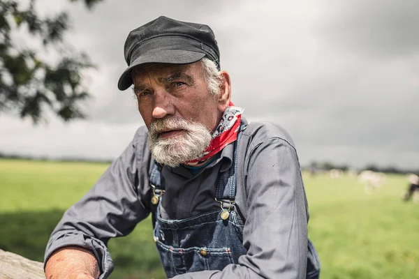 Elderly farmer leaning on paddock fence — Φωτογραφία Αρχείου