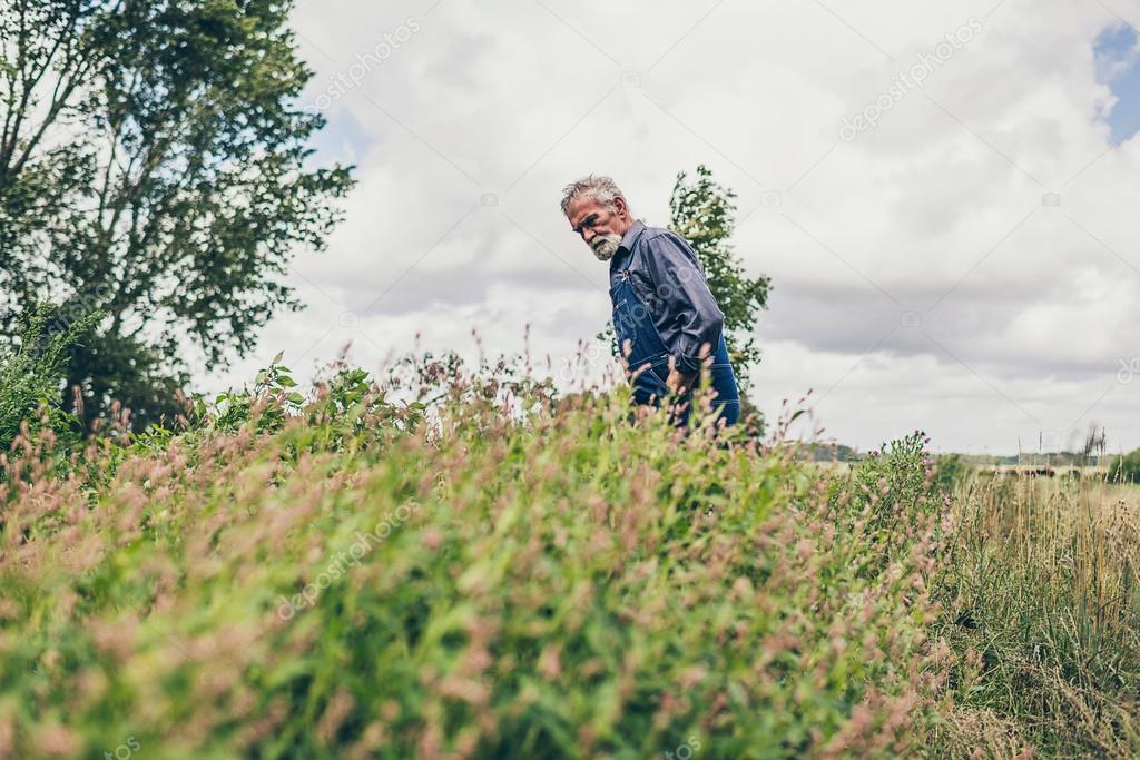 Male Farmer Looking at Plants