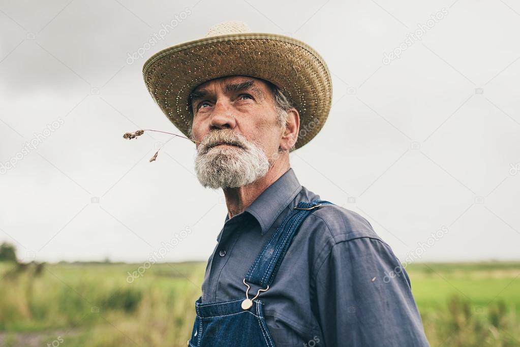 Thoughtful senior farmer chewing grass