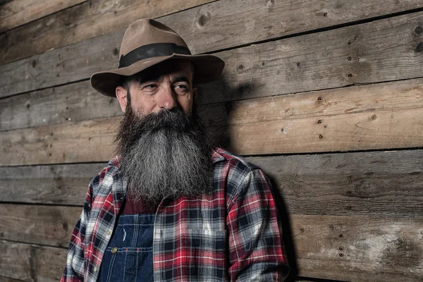 Gri sakallı Vintage çalışan adam