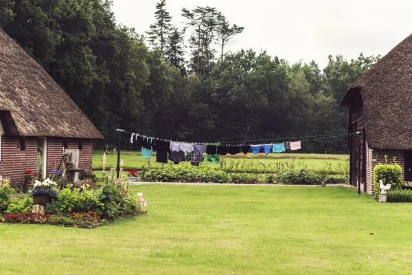 Alter holländischer Bauernhof im Sommer — Stockfoto