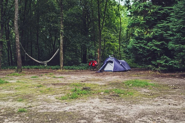 Blaues Zelt im Wald mit Fahrrad — Stockfoto