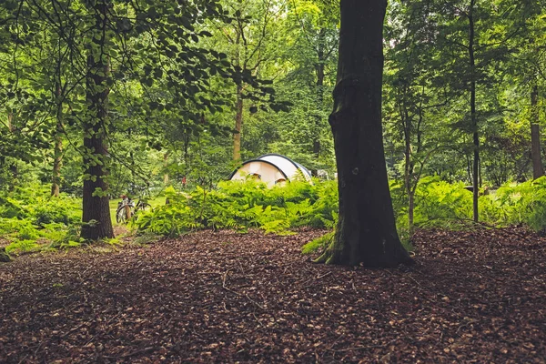 Tent Standing in Forest — Stock Photo, Image