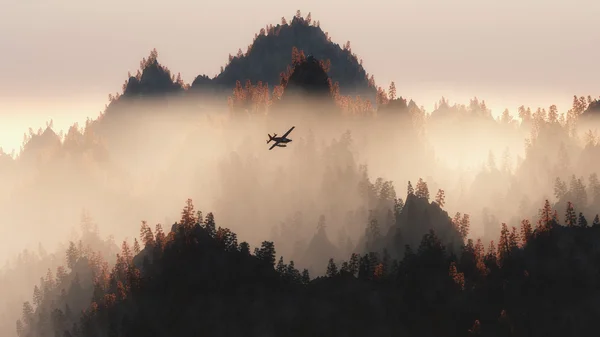 Private airplane flying over pine trees — Stock Photo, Image