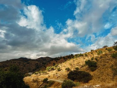 Rolling hilly landscape with dried yellow vegetation and olive trees under blue sky with clouds. Almogia, Malaga, Andalucia, Spain.