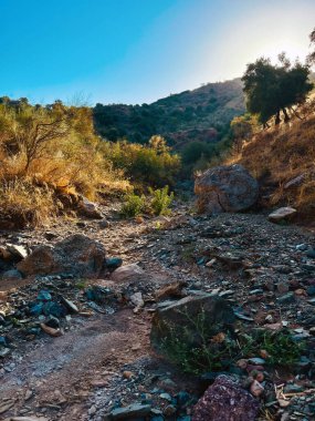 Dry river bed with rocks and hills with dried vegetation and green trees under a blue sky on a sunny day. Andalusia, Spain.