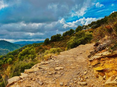 Dağlık arazide yürüyüş yolu. Yamaçlar, mavi gökyüzünün altında bulutlarla kaplı yeşil ağaçlarla kaplı. Montes de Malaga Ulusal Parkı, Endülüs, İspanya.