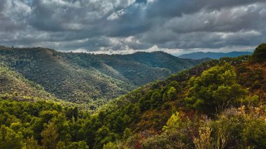 Mavi gökyüzünün altında bulutlu yeşil ağaçlarla kaplı yamaçları olan tepelik bir arazi. Montes de Malaga Ulusal Parkı, Endülüs, İspanya.