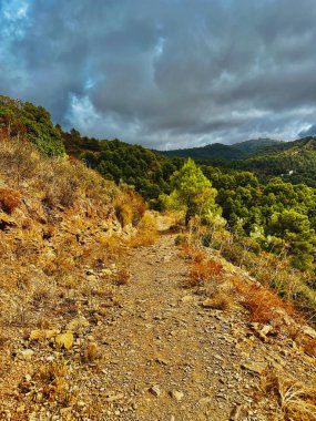 Mavi gökyüzünün altında bulutlu yeşil ağaçlarla kaplı yamaçları olan tepelik bir arazi. Montes de Malaga Ulusal Parkı, Endülüs, İspanya.