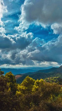 Tepe manzarası, yamaçları yeşil ağaçlarla kaplı mavi gökyüzünün altında bulutlarla. Montes de Malaga Ulusal Parkı, Endülüs, İspanya.