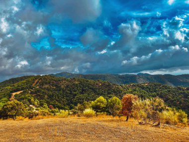 Tepe kenarındaki ağaçlar tepelik arazide, tepeleri mavi gökyüzünün altında bulutlu yeşil ağaçlarla kaplı. Montes de Malaga Ulusal Parkı, Endülüs, İspanya.