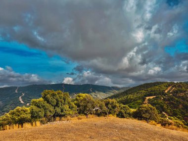 Tepe kenarındaki ağaçlar tepelik arazide, tepeleri mavi gökyüzünün altında bulutlu yeşil ağaçlarla kaplı. Montes de Malaga Ulusal Parkı, Endülüs, İspanya.
