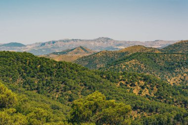 Tepe manzarası, mavi gökyüzünün altında farklı ağaç türleriyle yeşil renklerde. Ulusal Park Montes de Malaga, Endülüs, İspanya.