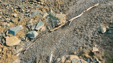 Kuru nehir yatağında çakıl taşlarının üzerinde yatan ölü bir tahta parçası. Üst görünüm.