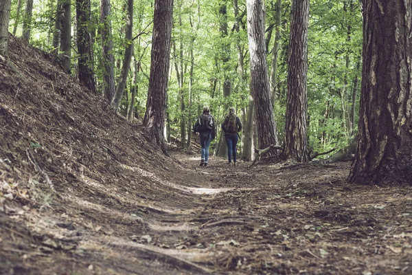 Duas mulheres caminhando na trilha da floresta . — Fotografia de Stock