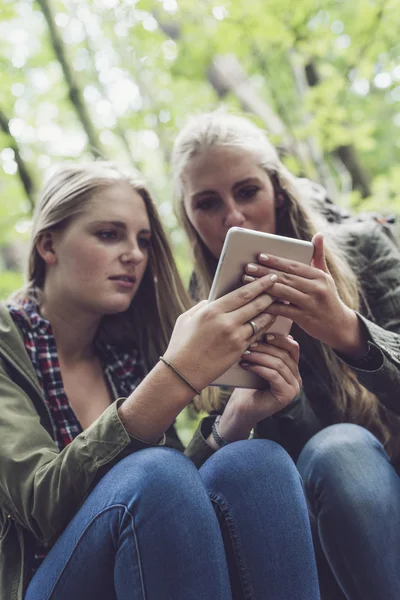 Tweelingzus in bos — Stockfoto