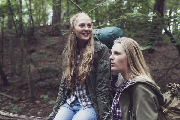 Caminhadas irmã gêmea na floresta — Fotografia de Stock