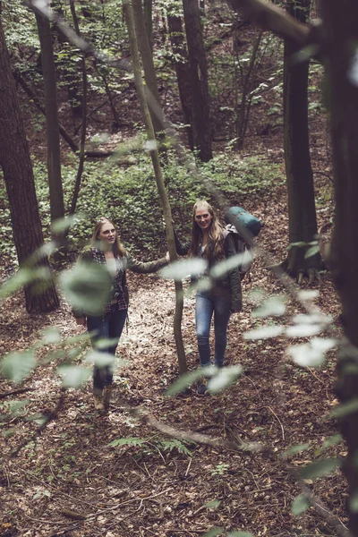 Două surori gemene care ţin copacul în pădure . — Fotografie, imagine de stoc