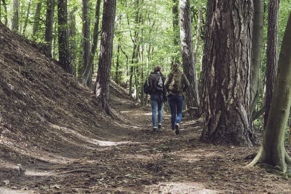 Duas mulheres caminhando na trilha da floresta — Fotografia de Stock