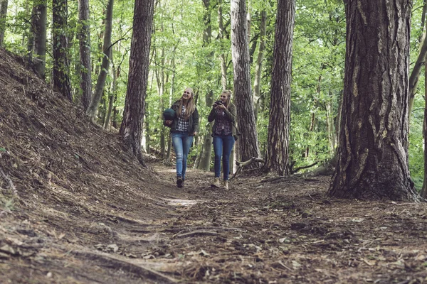 Twin sister walking on forest trail. — Stock Photo, Image