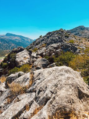 Açık mavi gökyüzünün altında yeşil bitki örtüsü olan engebeli kayalık dağlar. Montejaque, Malaga, Endülüs, İspanya.
