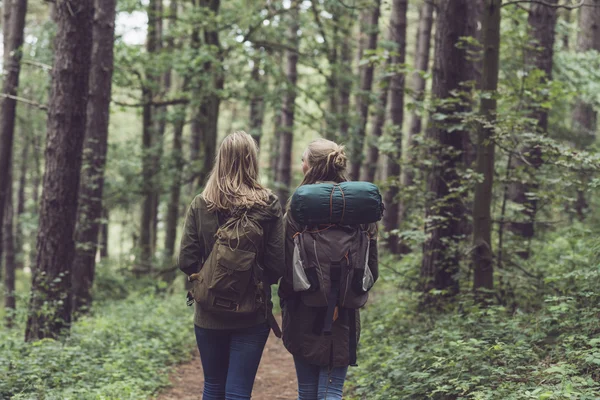 Orman üzerinde yürüme arkadaşları — Stok fotoğraf