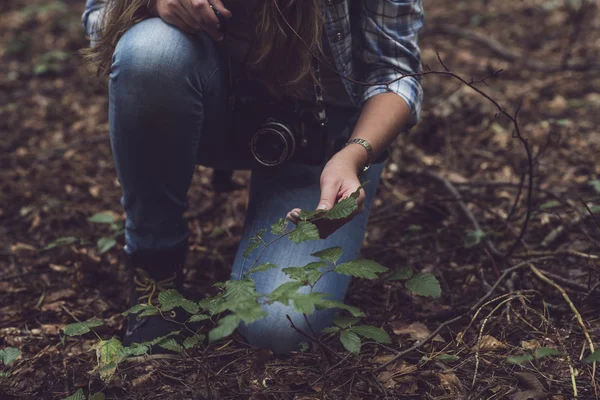 Hand of woman touching leaves — Stock Photo, Image