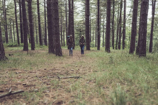 Två vänner vandring i skogen — Stockfoto