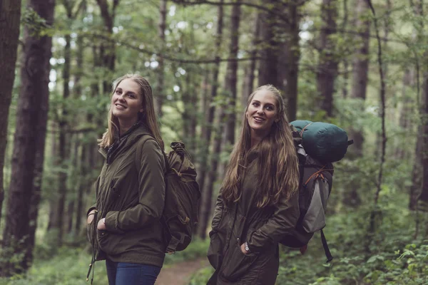 Mutlu ikiz kardeşi Hiking — Stok fotoğraf