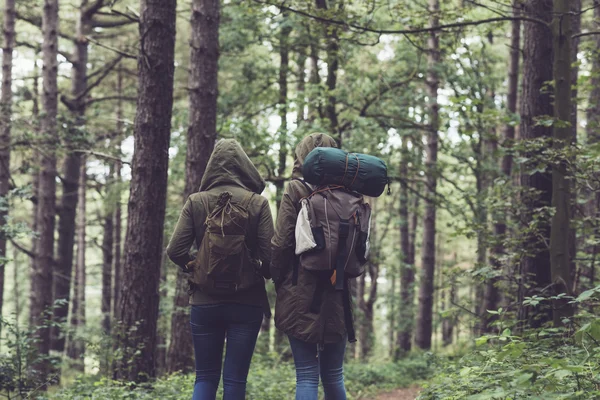 Vänner med luvtröja promenader — Stockfoto