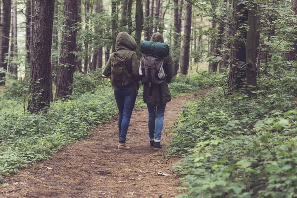 Amigos con capucha caminando —  Fotos de Stock