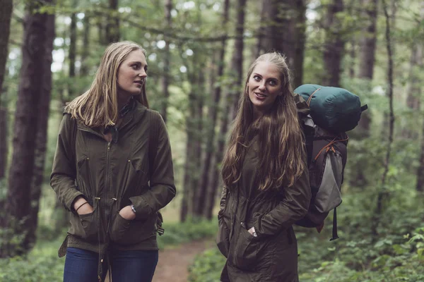 Mutlu ikiz kardeşi Hiking — Stok fotoğraf