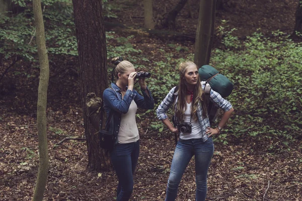 Two hiking women with binocular — Stock Photo, Image