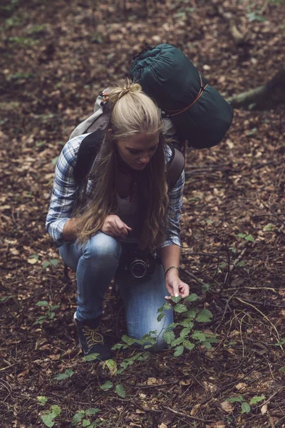 Rucksackreisende Frau berührt Strauch — Stockfoto