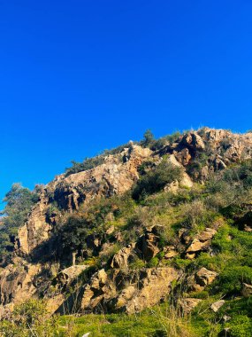 Kırmızı kayalıklı tepe ve mavi gökyüzünün altındaki yeşil yemyeşil bitki örtüsü. İspanya, Endülüs.