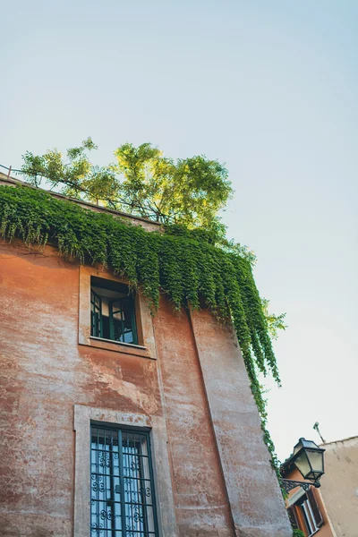Casa de canto com jardim no telhado — Fotografia de Stock